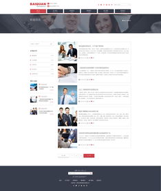 百泉網絡 網絡媒體設計制作的藝術與策略